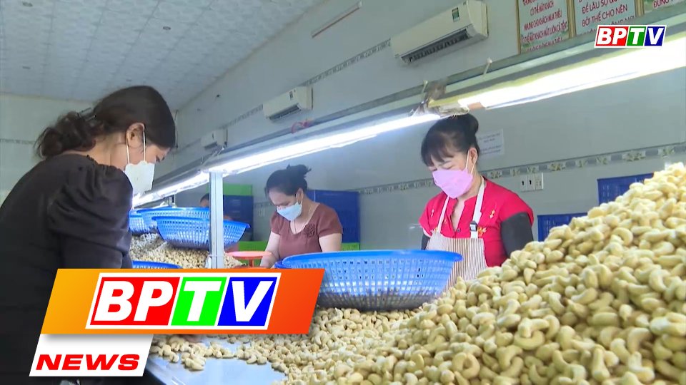 BPTV NEWS 2-5-2022: Shortage of raw materials for cashew processing
