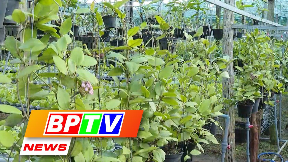 BPTV NEWS 2-7-2023: Local man promotes online sale of flowers