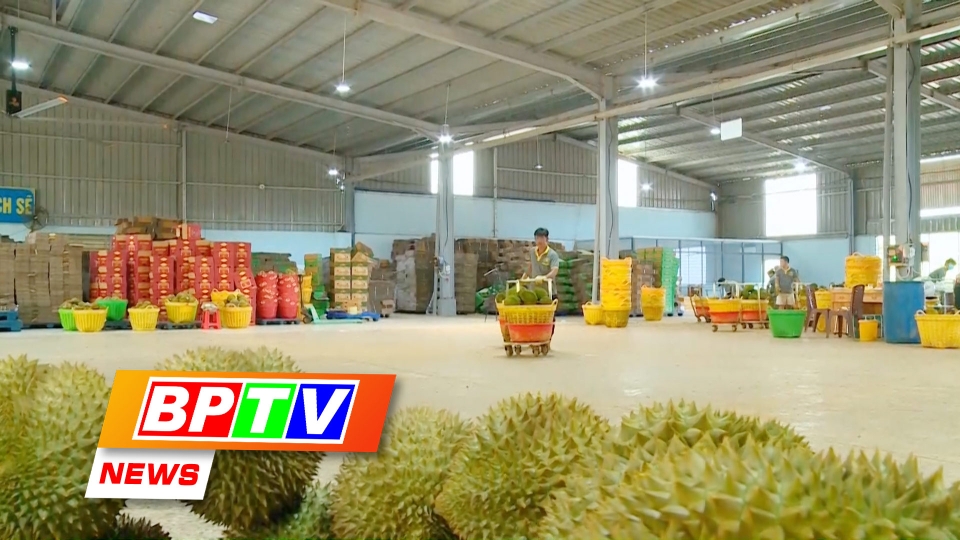 BPTV NEWS 2-9-2024: Binh Phuoc to promote exports to Europe, the US