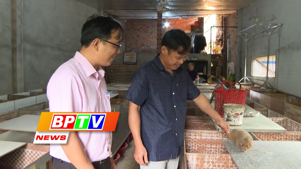 BPTV NEWS 30-5-2023: Binh Phuoc farmer successful in raising bamboo rats