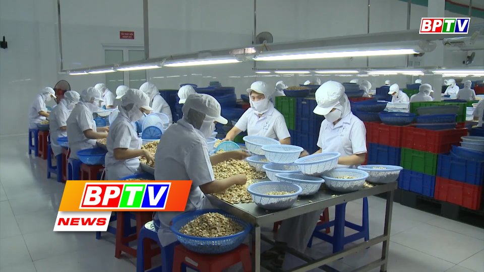 BPTV NEWS 30-6-2022: Cashew industry faces huge challenges