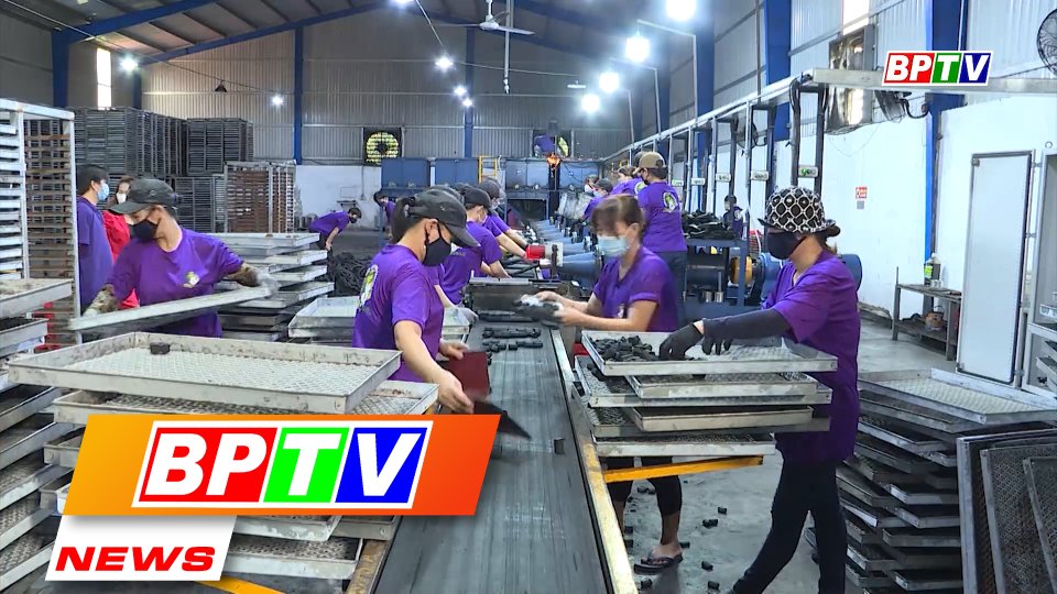 BPTV NEWS 31-10-2022: Binh Phuoc enterprises growing in both quantity and quality