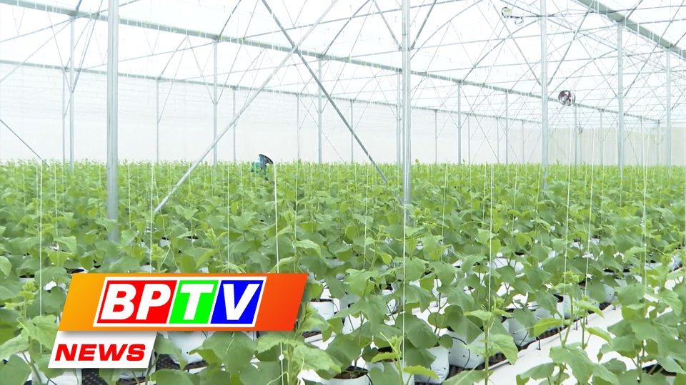BPTV NEWS 3-11-2023: Enhancing awareness on agricultural restructuring