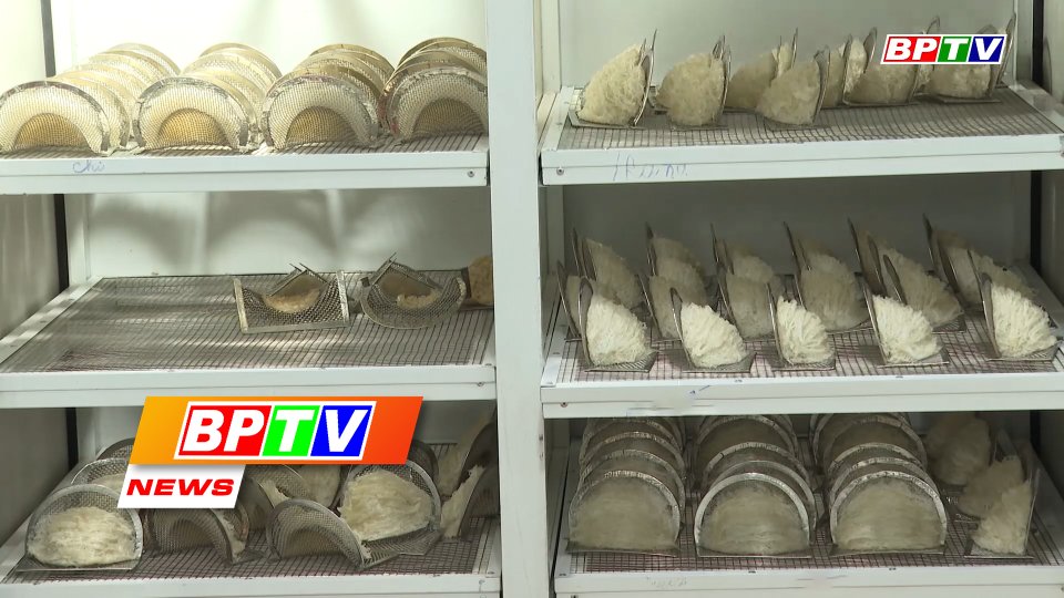 BPTV NEWS 3-5-2022: Edible birds nest price rising sharply
