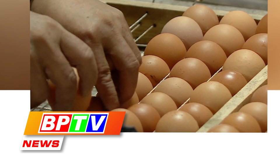 BPTV NEWS 3-8-2023: Egg exports to Hong Kong to resume