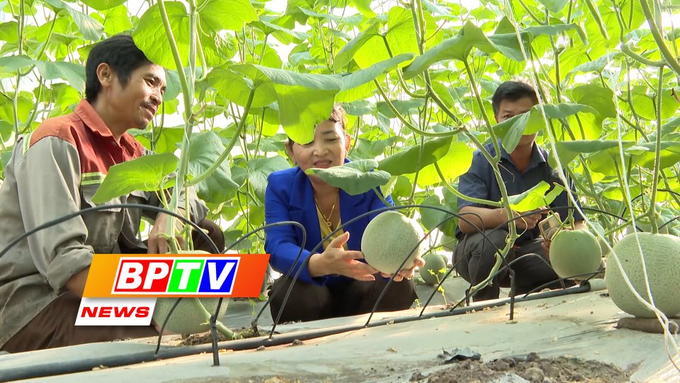 BPTV NEWS 3-9-2023: Binh Phuoc targets annual agriculture growth of 3%