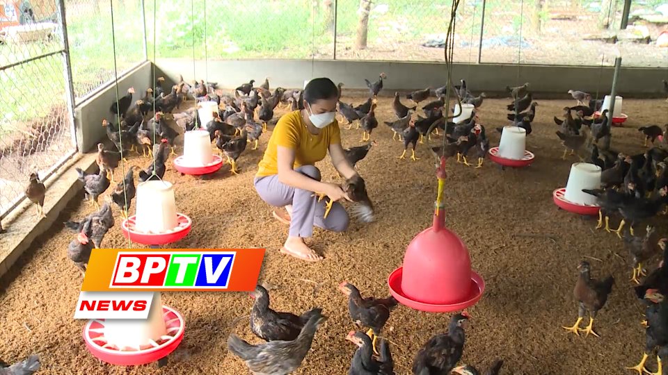 BPTV NEWS 5-11-2022: Binh Phuoc developing biosecurity husbandry
