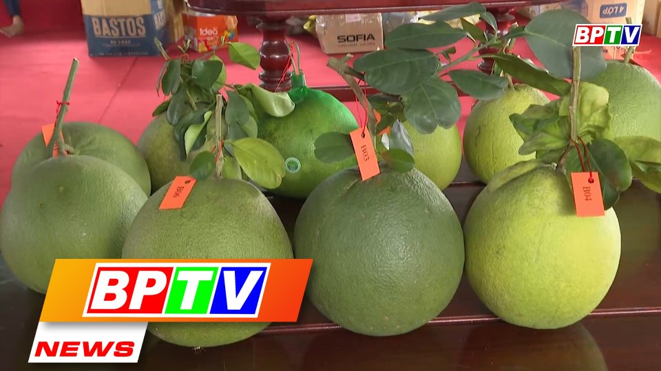 BPTV NEWS 5-6-2022: Binh Phuoc hosts first fruit contest