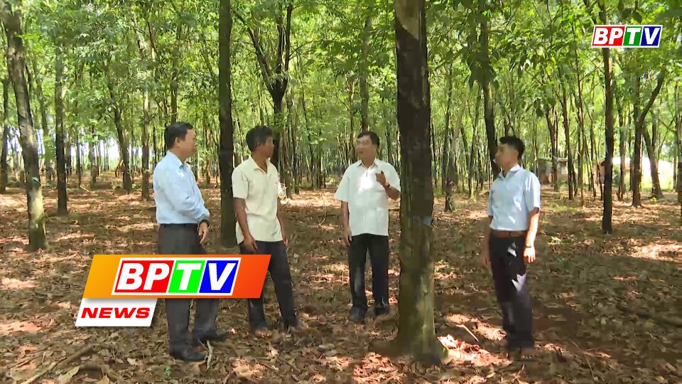 BPTV NEWS 6-6-2022: Thousands ethnic minority households recognised as efficient businesses