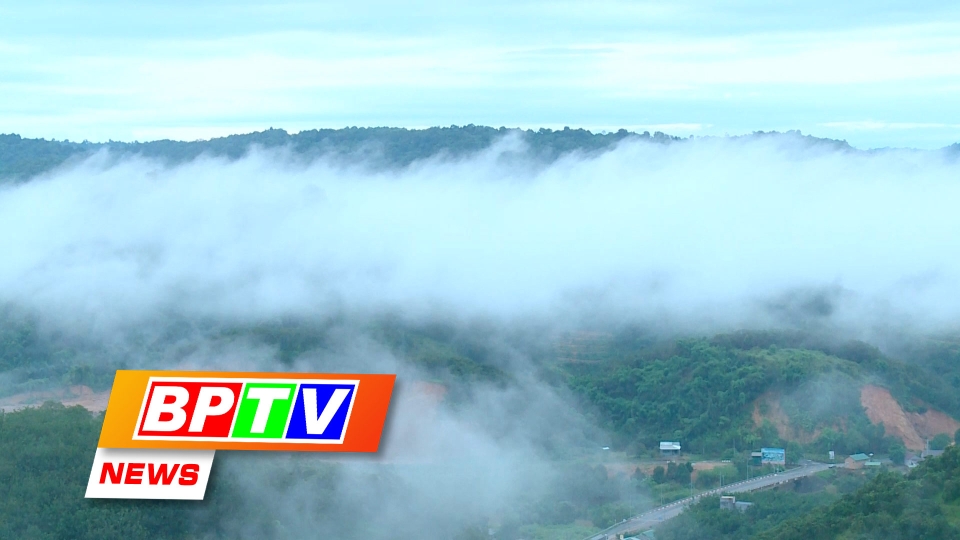 BPTV NEWS 6-9-2024: Stunning cloud-hunting spots in Binh Phuoc