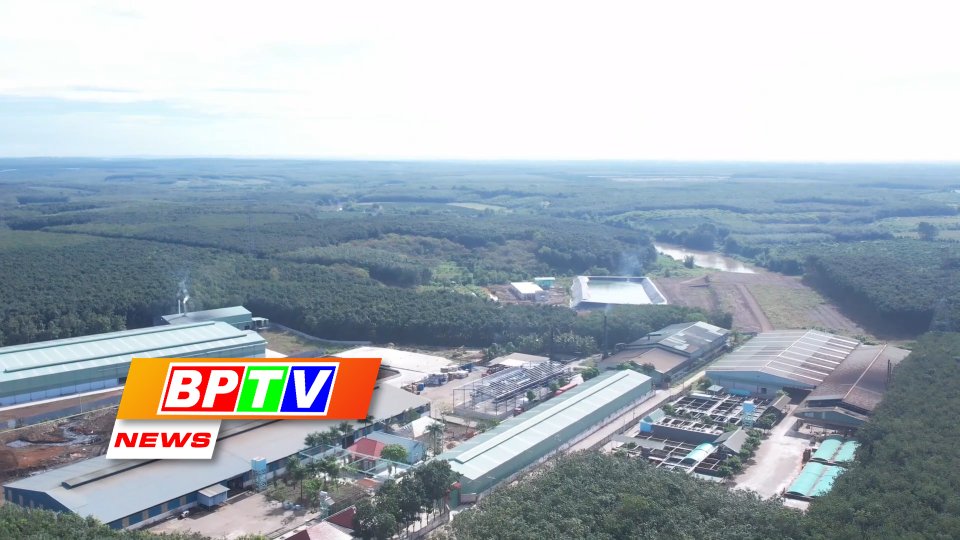 BPTV NEWS 7-2-2023: Binh Phuoc moves to modernise hazardous waste treatment