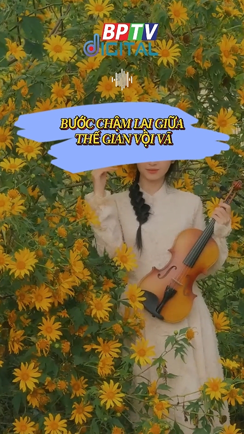 Bước chậm lại, buông bỏ đúng lúc - lòng nhẹ tênh giữa thế gian vội vã #shorts