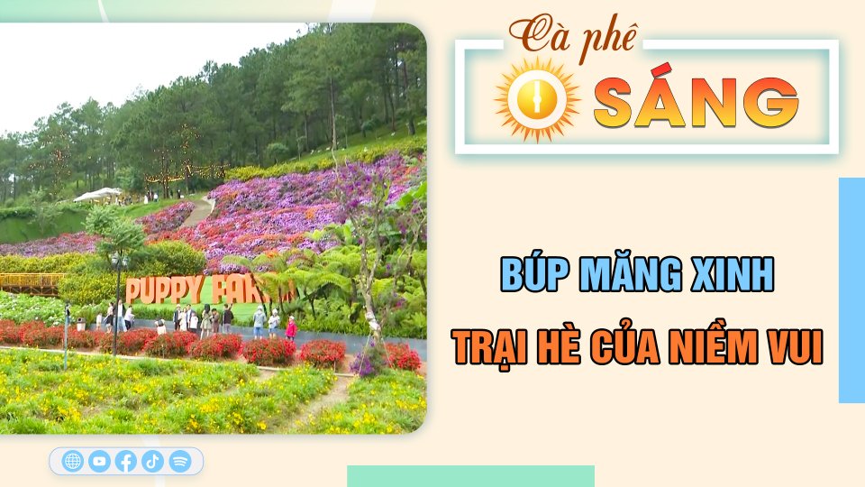 Búp măng xinh - trại hè của niềm vui | Cà phê sáng 1-8-2023 || BPTV