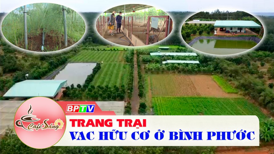 Cà Phê sáng |06-1-2022| Trang trại VAC hữu cơ - mô hình hấp dẫn người ở phố