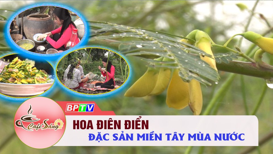 CÀ PHÊ  SÁNG |08-10-2021| Quyến rũ mùa vàng bông điên điển