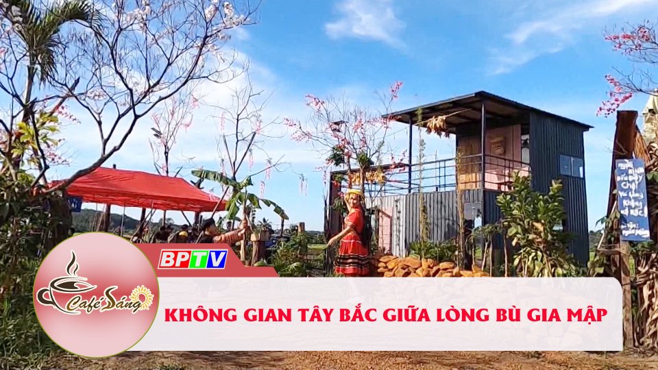 Cà phê sáng 11-12-2021 | Không gian Tây bắc giữa lòng Bù Gia Mập 