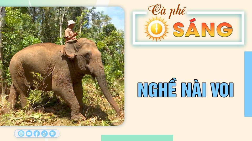 CÀ PHÊ SÁNG 11-9-2023 | Tin hay mỗi ngày || BPTV