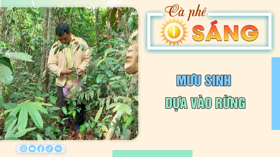 Cà phê sáng 12-6-2025| Tin hay cho bạn | BPTV