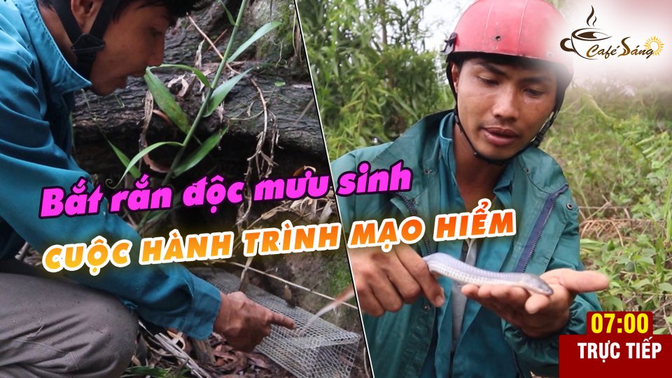 CÀ PHÊ SÁNG |15-6-2021| Xuyên rừng, tay không bắt rắn độc mưu sinh