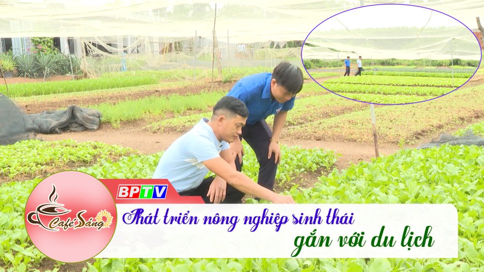 Cà Phê sáng | 16-6-2022 | Khởi nghiệp với mô hình nông nghiệp sinh thái kết hợp du lịch 