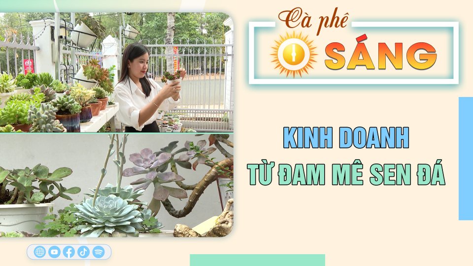 Cà Phê sáng | 17-2-2023 | Kinh doanh từ đam mê sen đá 