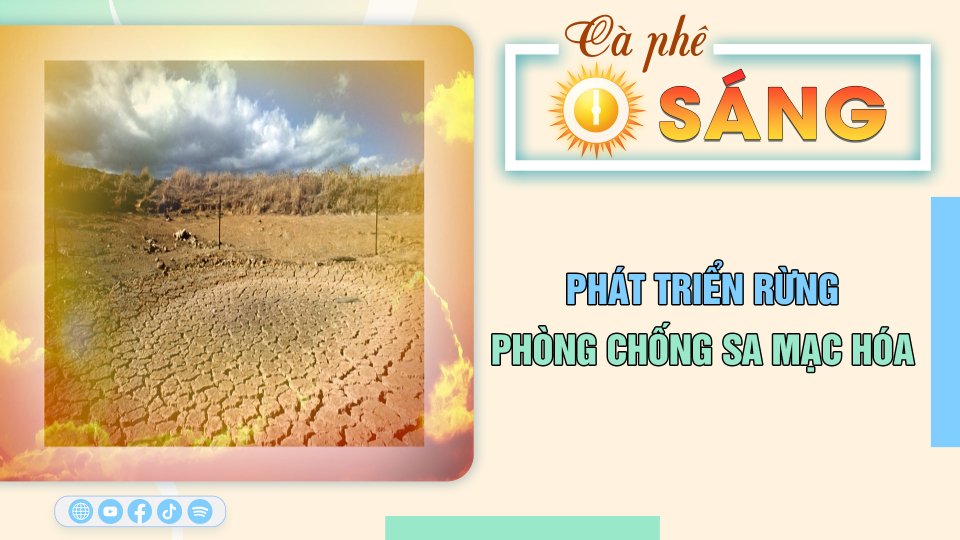 Cà Phê sáng | 17-6-2023 | Phát triển rừng phòng chống sa mạc hóa 