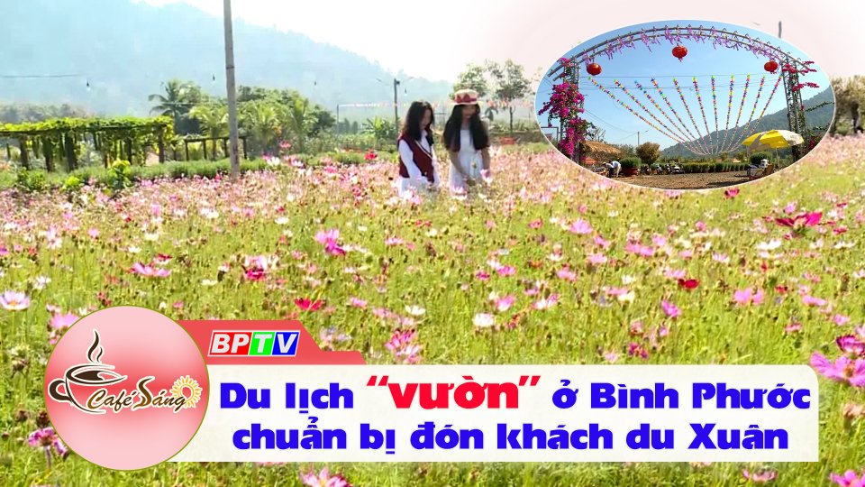 Cà Phê sáng |18-1-2022| Du lịch “vườn” ở Bình Phước chuẩn bị đón Xuân 