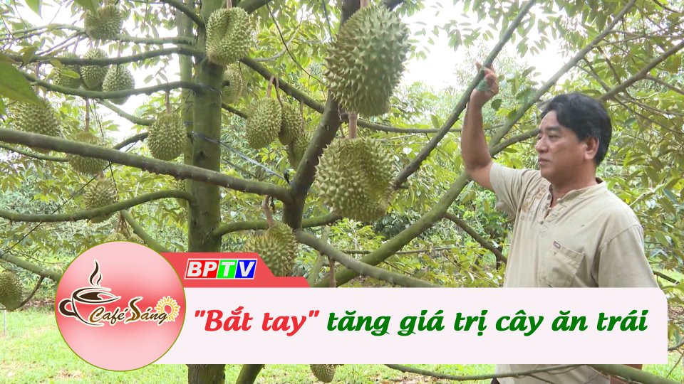 Nông dân "bắt tay" tăng giá trị cây ăn trái | Cà phê sáng 18-6-2022 | BPTV
