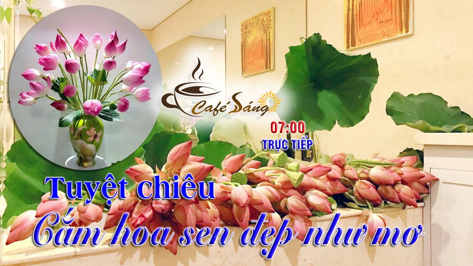CÀ PHÊ SÁNG |19-6-2021| Bật mí bí quyết cắm sen đẹp vạn người mê