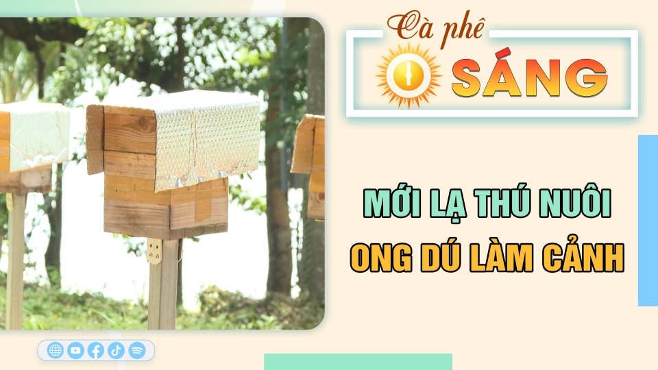 Cà phê sáng 19-8-2024 | Tin hay cho bạn | BPTV