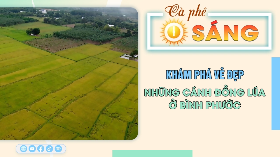 Cà phê sáng 1-11-2024 |Tin hay mỗi ngày ||BPTV