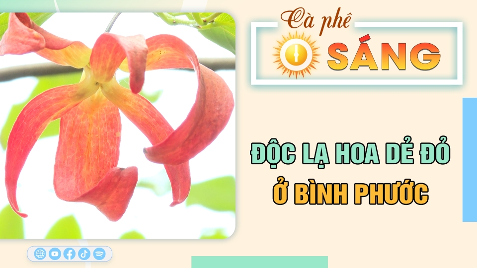 Cà phê sáng 1-8-2024 | Tin hay cho bạn | BPTV