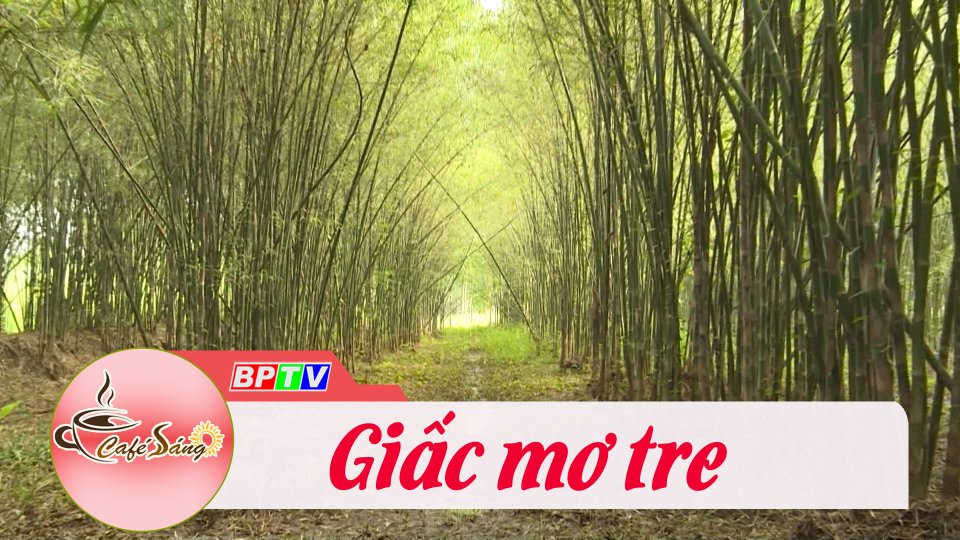 Giấc mơ tre |Cà phê sáng 21-10-2022 ||BPTV
