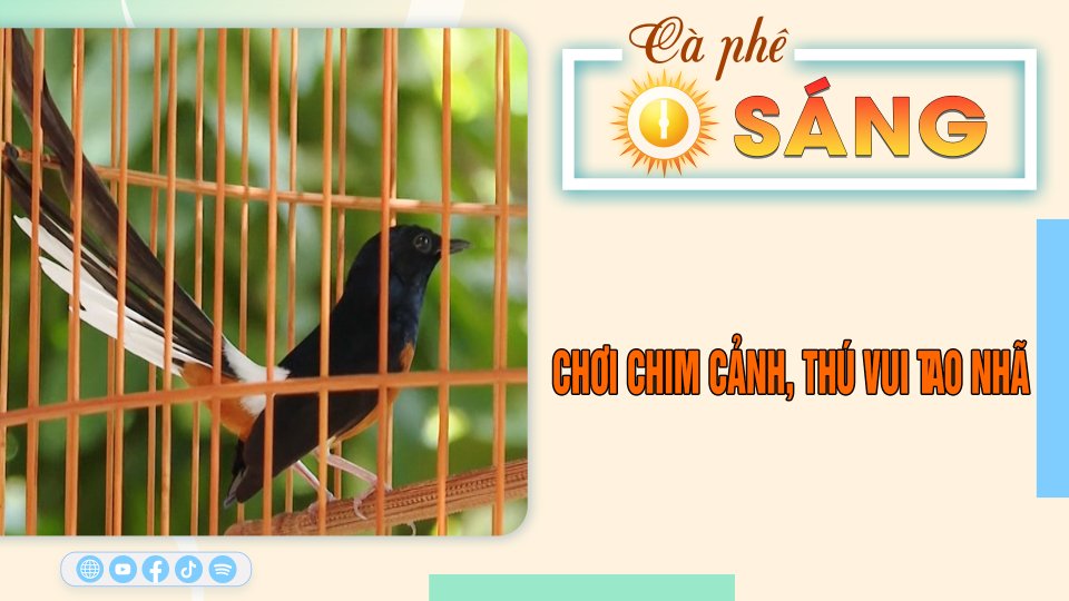 Cà Phê sáng 21-11-2023| Tin hay cho bạn || BPTV