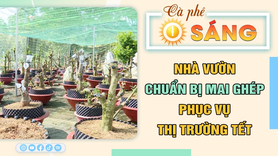 Cà phê sáng 23-12-2024 | Tin hay cho bạn | BPTV