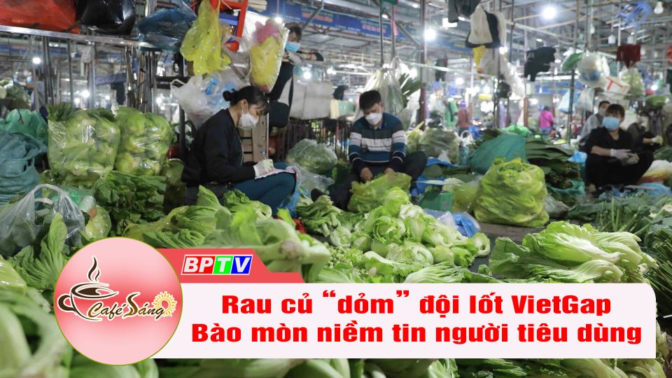 Bài học rau sạch “dỏm” đội lốt rau VietGap | Cà phê sáng 23-9-2022 || BPTV