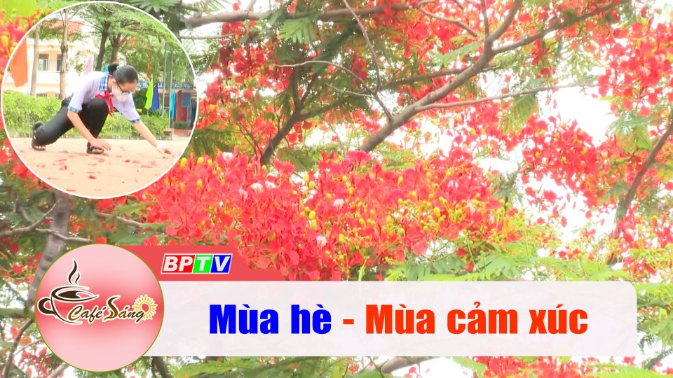 Cảm xúc mùa hè |Cà phê sáng 24-5-2022 |BPTV