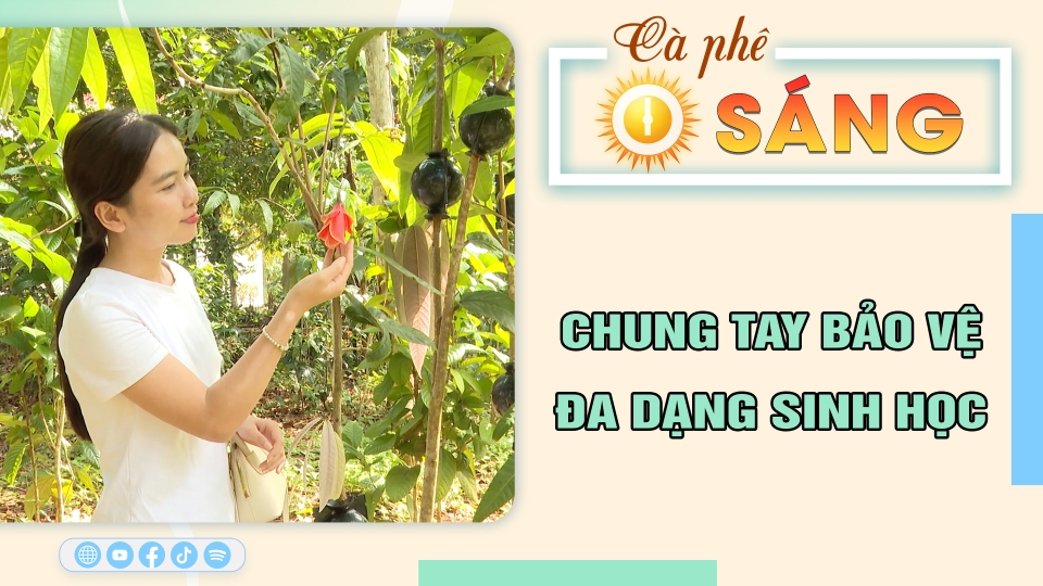 Cà phê sáng 27-5-2025 | Tin hay cho bạn | BPTV