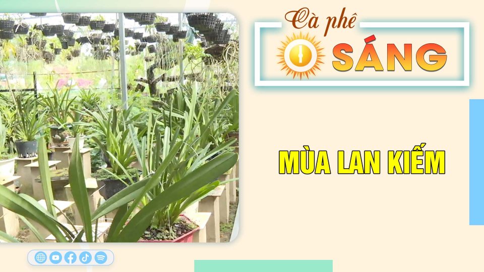 Cà phê sáng 29-3-2023 ||BPTV 