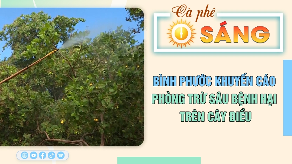 Cà phê sáng 2-3-2025| Tin hay cho bạn || BPTV 