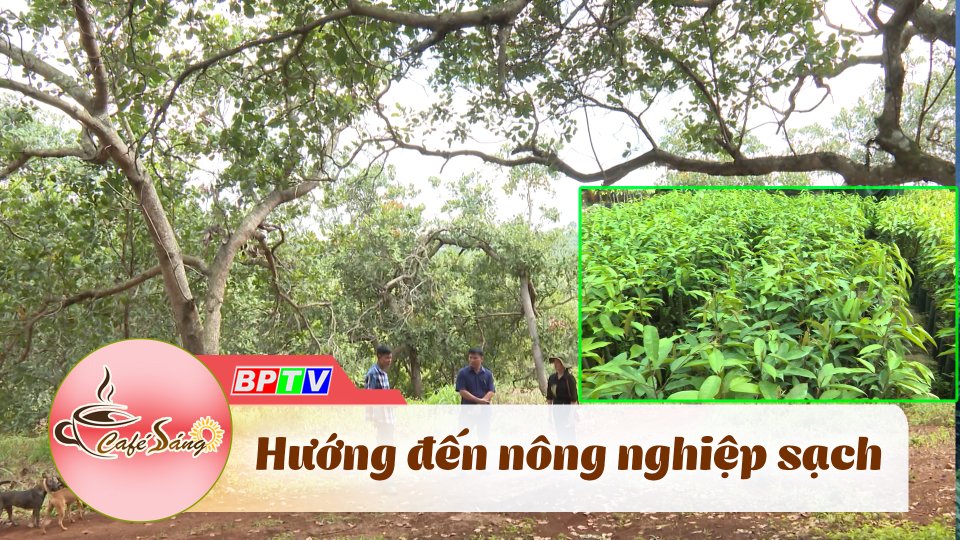 Cà Phê sáng | 3-8-2022 | Thay đổi “phong cách” sản xuất nông nghiệp 