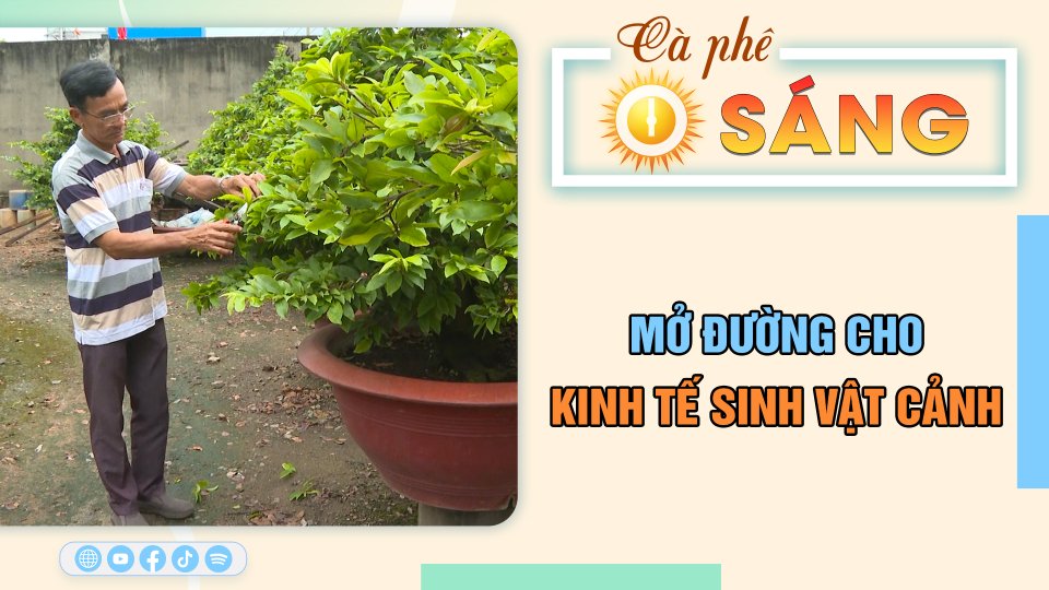 CÀ PHÊ SÁNG 6-10-2023 | Tin hay cho bạn || BPTV