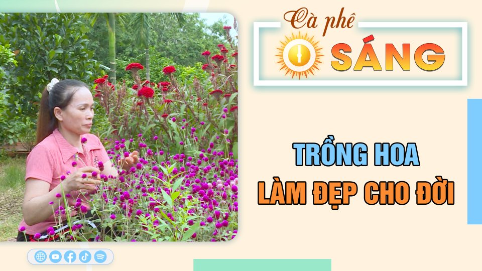 C&agrave; ph&ecirc; s&aacute;ng 6-9-2023 || Tin hay mỗi ng&agrave;y || BPTV