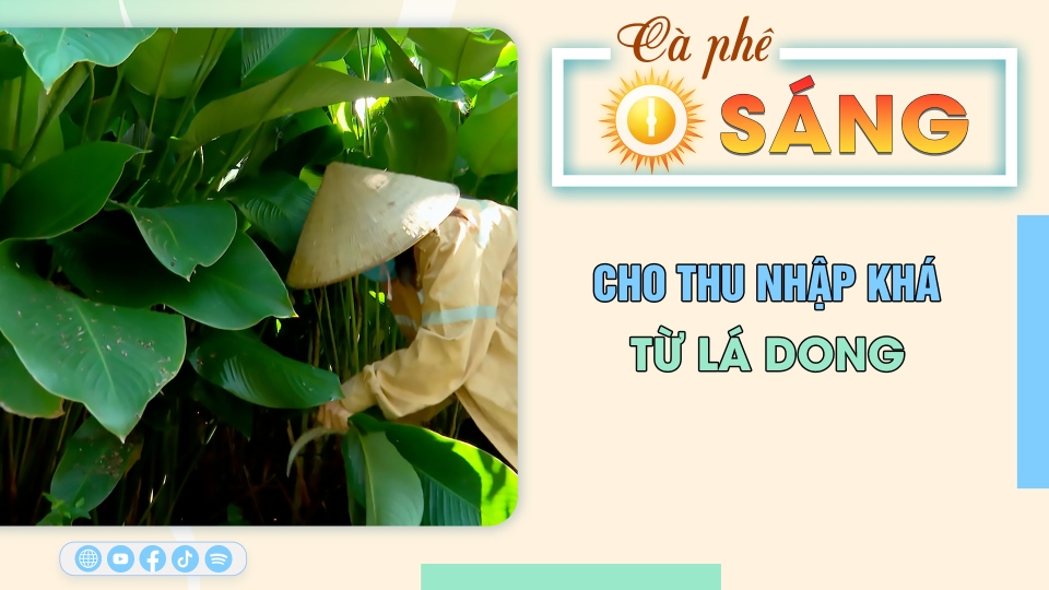 Cà phê sáng 7-3-2025 |Tin hay mỗi ngày ||BPTV