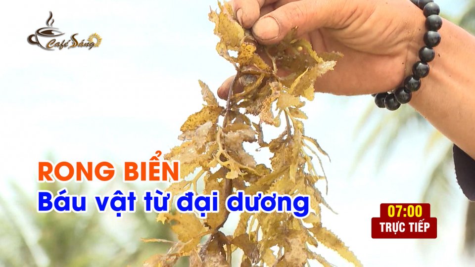CÀ PHÊ SÁNG | 7-6-2021| Vui mùa “Lộc biển”
