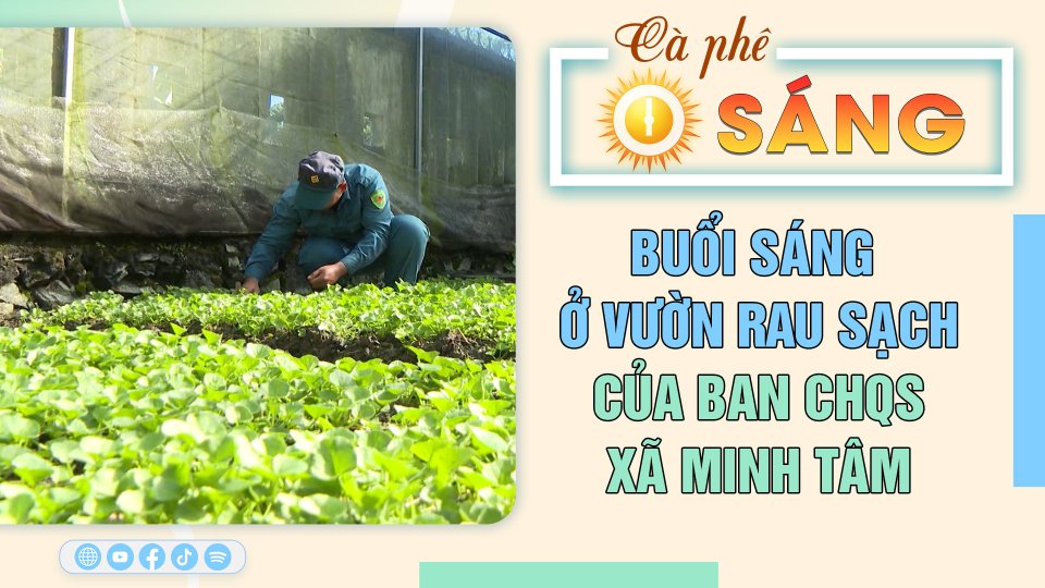 Cà Phê sáng 8-11-2023| Tin hay cho bạn || BPTV 