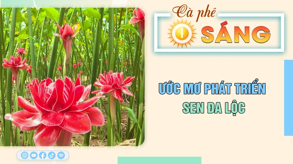 Cà phê sáng 8-12-2024| Tin hay cho bạn || BPTV 