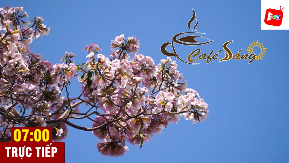 Cà phê sáng ngày 9-3-2021