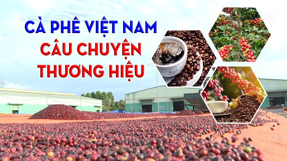 Cà phê Việt Nam - Câu chuyện thương hiệu |BPTV