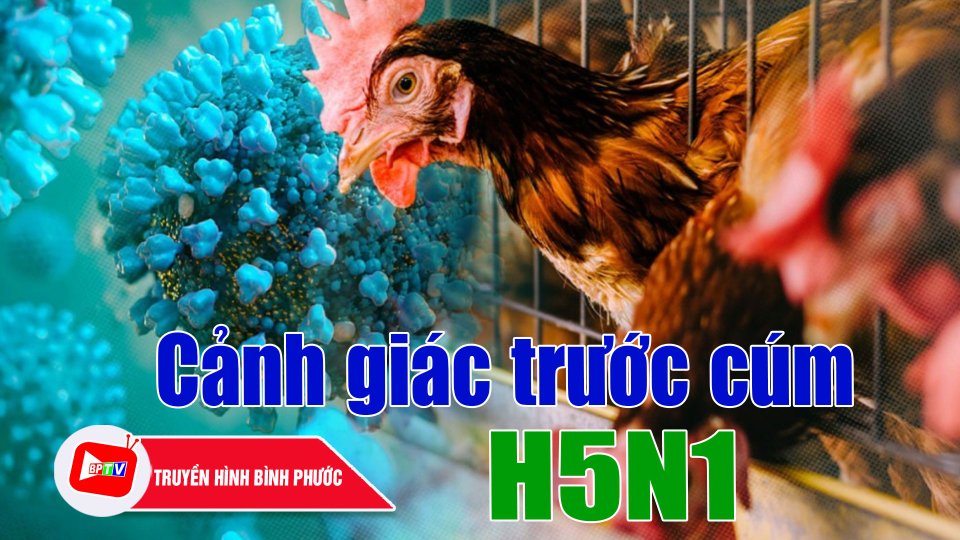 Campuchia có ca tử vong vì cúm H5N1, Viện Pasteur TP. HCM gửi công văn khẩn |BPTV